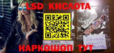 прущие крисы Кингисепп