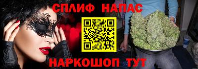 прущие крисы Кингисепп