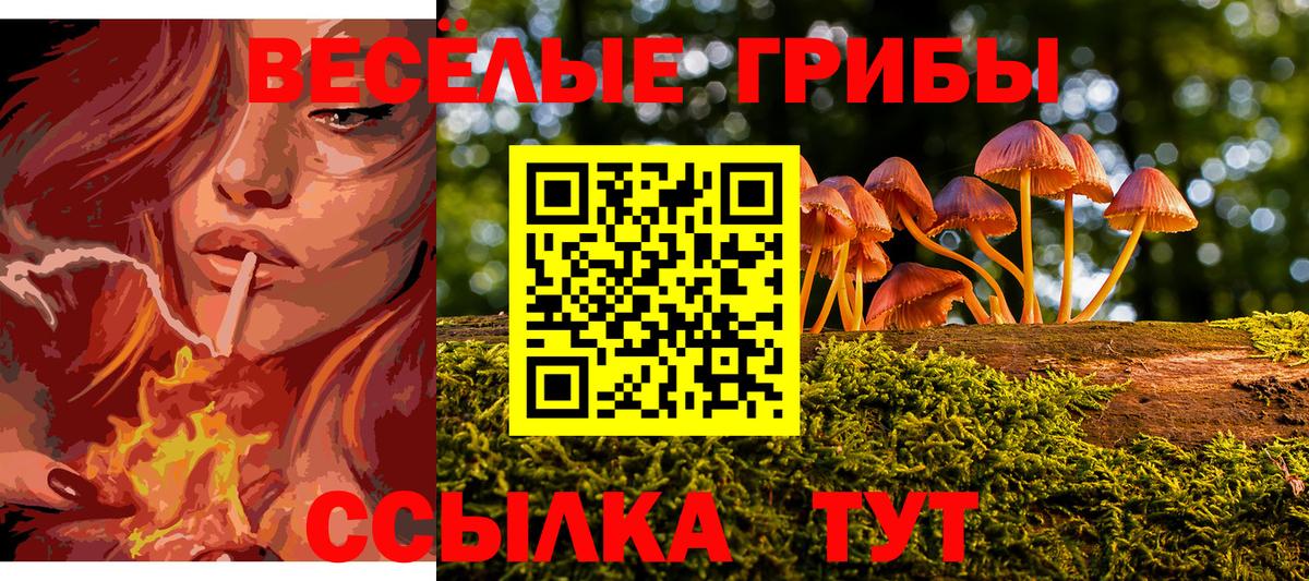 Тамбов  Галлюциногенные грибы мухоморы  Вход с VPN 