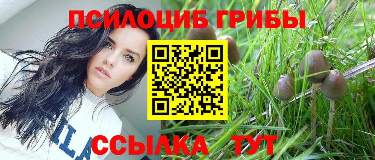 Галлюциногенные грибы Magic Shrooms Тамбов